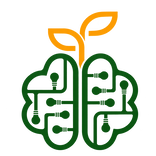 شرکتهای خلاق